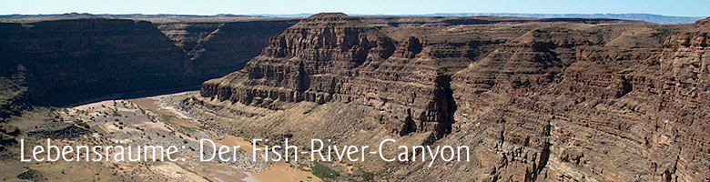 Lebensrume: Der Fish-River-Canyon