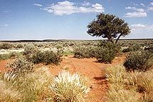 sandy wash-out