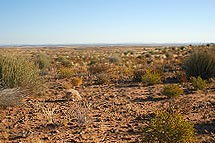 field of various rocks