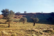 sanddunes block the valley