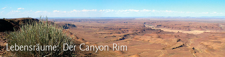 Lebensrume: Der Canyon Rim